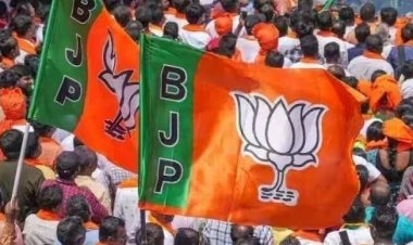 *प्रदेश के सभी 10 नगर निगम में बीजेपी ने प्रभारी मंत्री, संगठन प्रभारी, संयोजक एवं सह संयोजकों की नियुक्ति की है।*