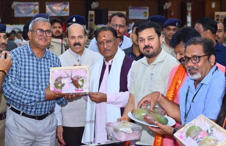 आम की खेेती किसानों की आय बढ़ाने में मददगार: मुख्यमंत्री श्री विष्णु देव साय